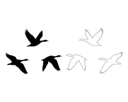 Six silhouettes and outlines of flying ducks birds vector