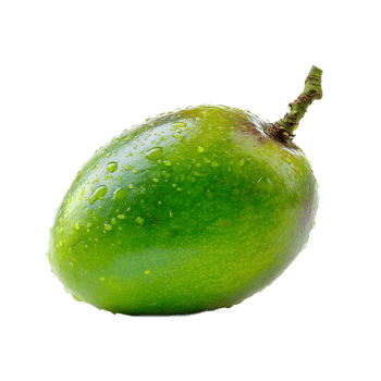 A vibrant green mango with water droplets, isolated on a transparent background. png