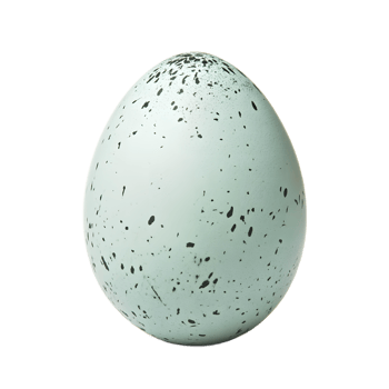 A single speckled light blue bird egg isolated on a transparent background. png