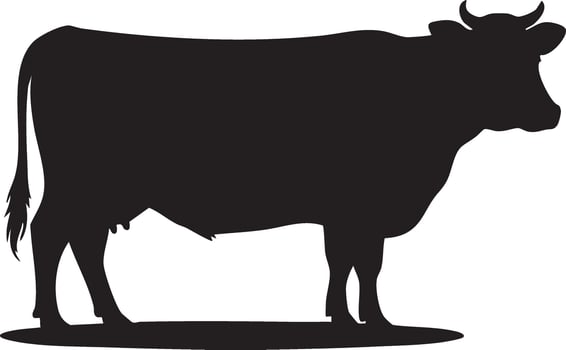 Silhouette of a dairy cow standing in profile simple illustration isolated on white background farm animal vector