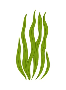 Tropical sea ocean water seaweed or algae vector