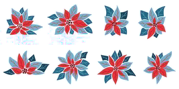 Hand drawn set of stylized poinsettia flowers in red and blue shades on white background. Illustration symbolizing Christmas decoration, holiday spirit, and winter floral design vector