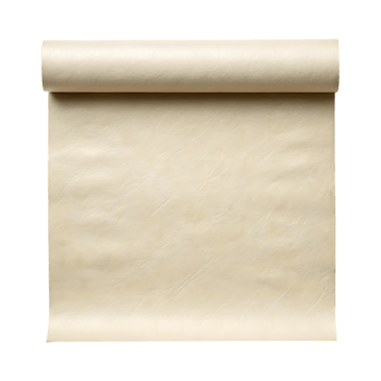 Rolled Beige Paper Texture png