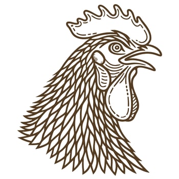 Detailed rooster head illustration line art farm animal drawing, feathered cockerel outline for agriculture, vintage design vector