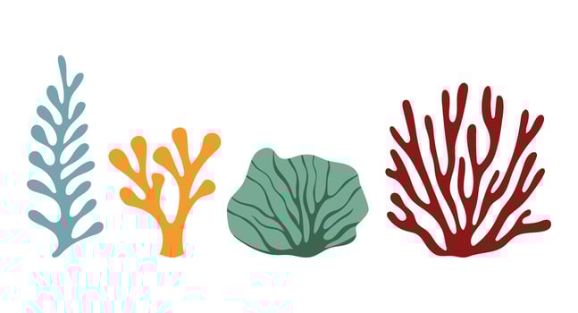 Vibrant Coral Reef Illustration with Colorful Seaweed. vector