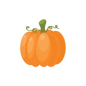 Pumpkin isolated on white background, squash, gourd, illustration, flat style vector