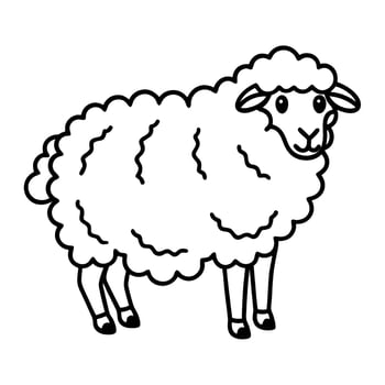 Woolly sheep standing, fluffy fleece domestic animal line art cute livestock mammal, agriculture, illustration vector