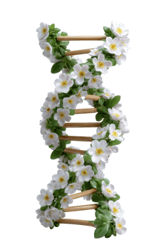 Floral DNA Helix Structure with Cherry Blossom Flowers Decoration png