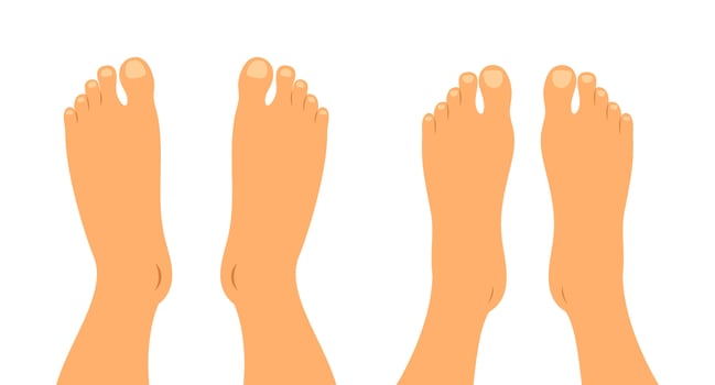 Bare male and female feet. Top view of the soles of male and female feet vector