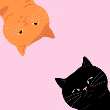 Two cute cats looking down. Curious ginger and black cats background vector