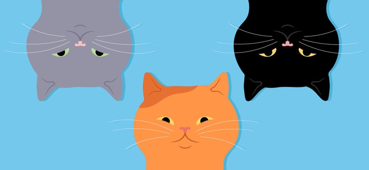 Three cute cats upside down. Curious gray, red and black cats vector