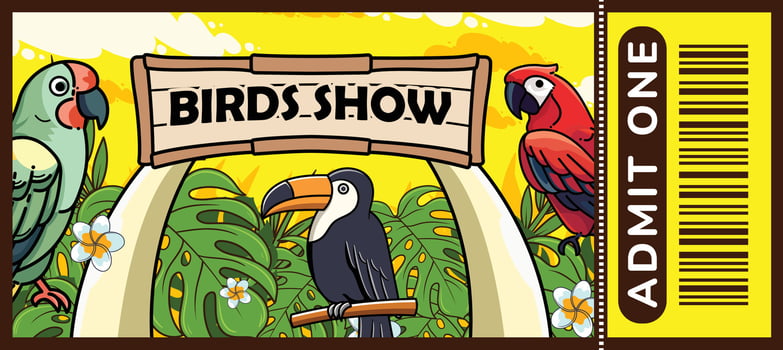 Birds show ticket design illustration vector