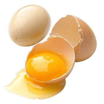 Whole and cracked chicken egg isolated on transparent background png