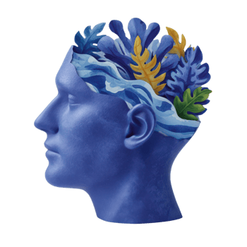Colorful Brain Artwork with Nature Elements in Human Head Profile png
