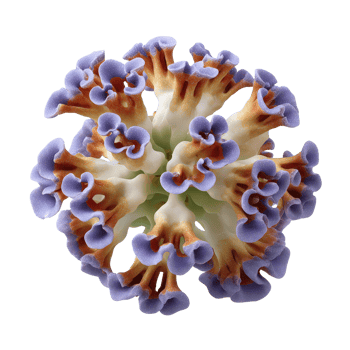 Vibrant Abstract Flower with Unique Petal Structure and Colors png