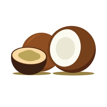Fresh coconut halves and whole fruit isolated on white background silhouette vector