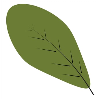 Green leaves element illustration vector
