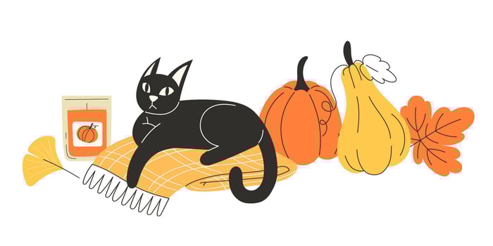 Black Cat Resting on Warm Blanket with Scented Candle Surrounded by Autumn Pumpkins and Leaves Flat Style Illustration of Cosy Fall Vibes and Seasonal Home Decor vector