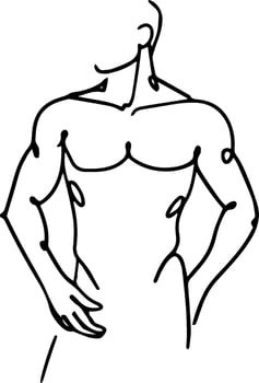 Torso of a man drawn in line art style. vector