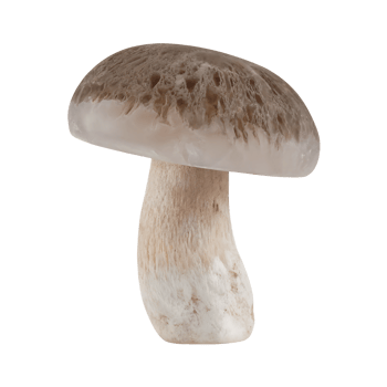 Quartz Mushroom With Frosted Underside png