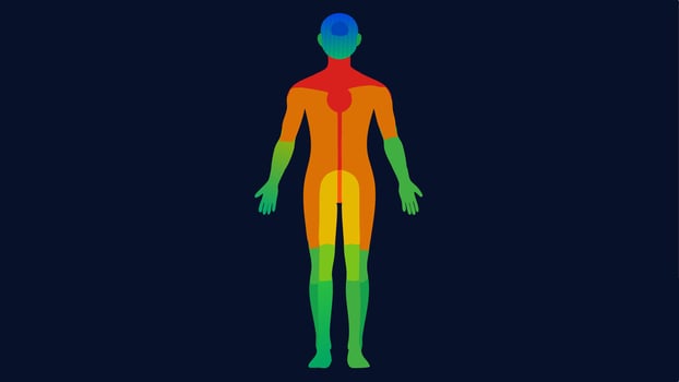 Annotated Thermal Scan A fullbody silhouette with numbered regions each corresponding to a colorcoded temperature range providing a clear reference for interpreting thermal data.. vector