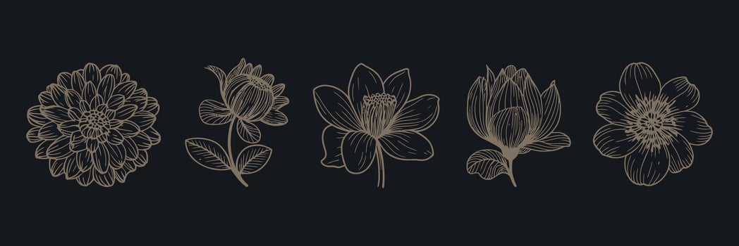 Elegant Floral Line Art Set Delicate Botanical Illustrations for Sophisticated Designs on a Dark Background vector