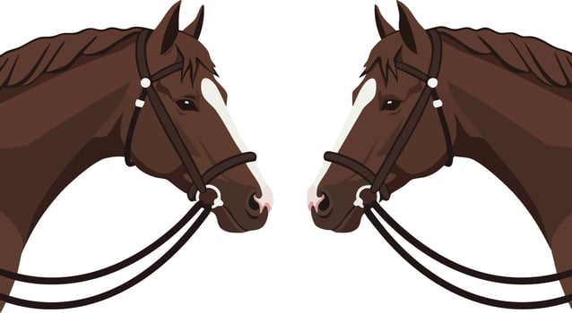 Two brown horses facing each other with bridles on white background illustration for equestrian themes vector