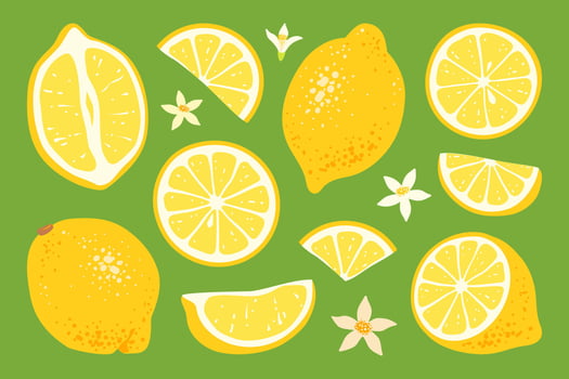 Colorful illustrations of lemon slices vector