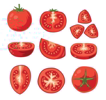 Variety of sliced and whole tomatoes vector