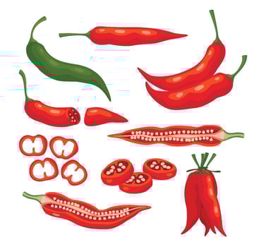 Assortment of chili peppers and slices vector