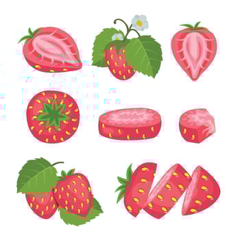 Strawberry illustrations in various styles vector