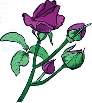 Dark red rose buds hand drawn illustration vector