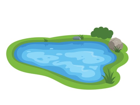 Ponds and swamps, nature elements, forest, water, grass vector