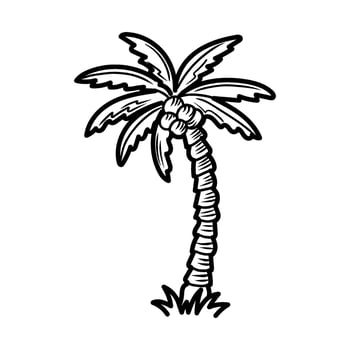 Coconut palm tree growing on tropical island paradise vector