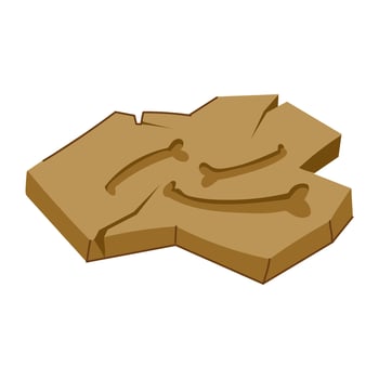 petrified fossil cartoon vector