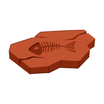 sedimentary fossil cartoon illustration vector