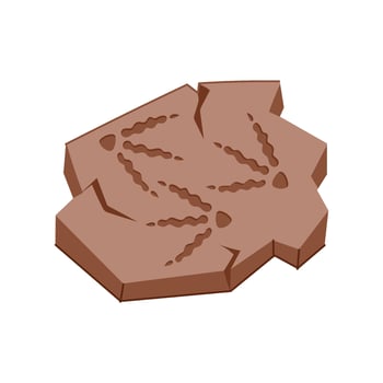 bone fossil cartoon illustration vector