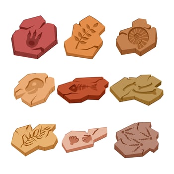 fossil set cartoon illustration vector