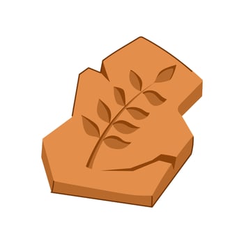 trilobite fossil cartoon illustration vector