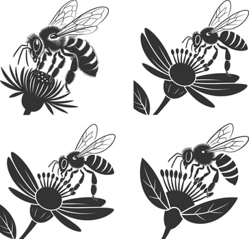 Bee on flower black and white illustration vector