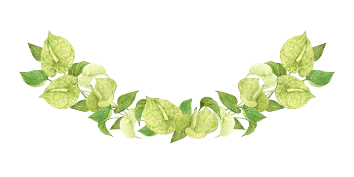 Green anthurium garland. Watercolor botanical illustration of a bouquet for a Caribbean wedding. Hand drawn floral arrangement poster. Exotic green plants of tropical forests and jungles. png