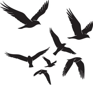 Black flying birds illustration vector
