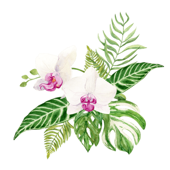 Bouquet of white orchid with pink core and monstera leaves. Watercolor illustration of tropical summer flower for wedding invitations and cruise party. Phalaenopsis illustration. png