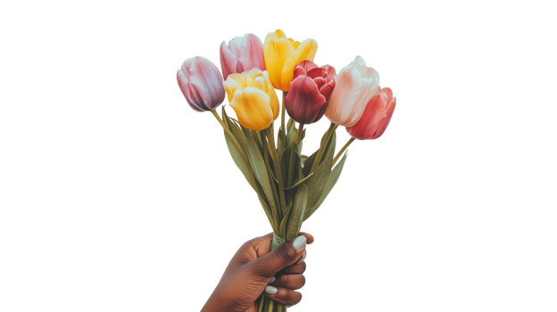 A hand holds a vibrant bouquet of tulips in various colors, celebrating spring's beauty and warmth png