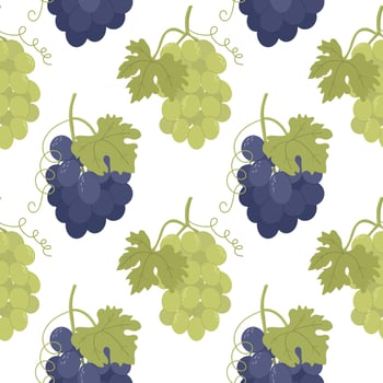 Pattern of green and purple grapes vector