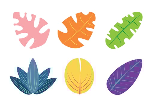 Colorful Tropical Leaf Set illustration vector
