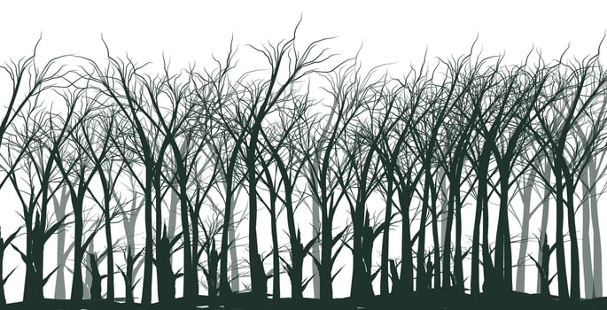 A black and white illustration of a forest with trees vector