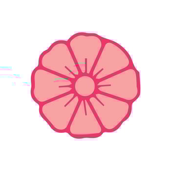 a pink flower with a central petal vector