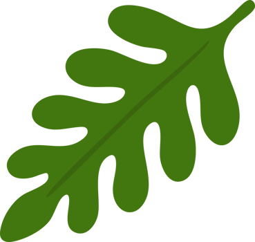 Green foliage on a branch png