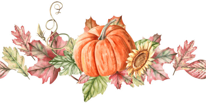 Seamless border with pumpkin and saltwort. Isolated watercolor illustration for interior design, Harvest Festival decoration, printing on kitchen textiles, seasonal menu design. png